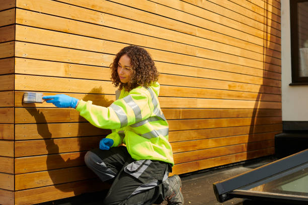 Best Fascia and Soffit Installation  in Cynthiana, KY